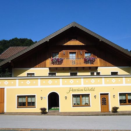 Pension Wald Faistenau Exteriér fotografie