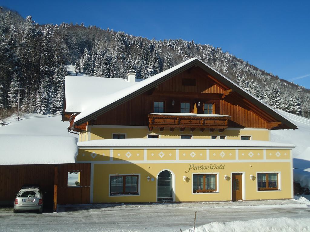 Pension Wald Faistenau Exteriér fotografie