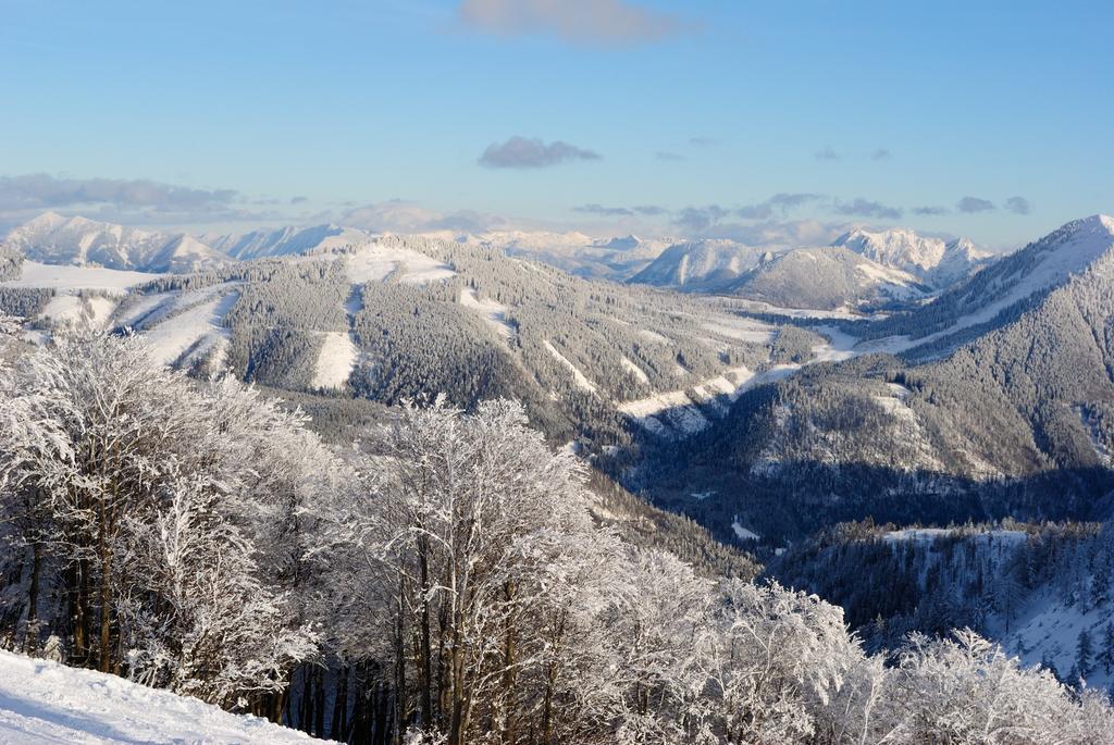 Pension Wald Faistenau Exteriér fotografie