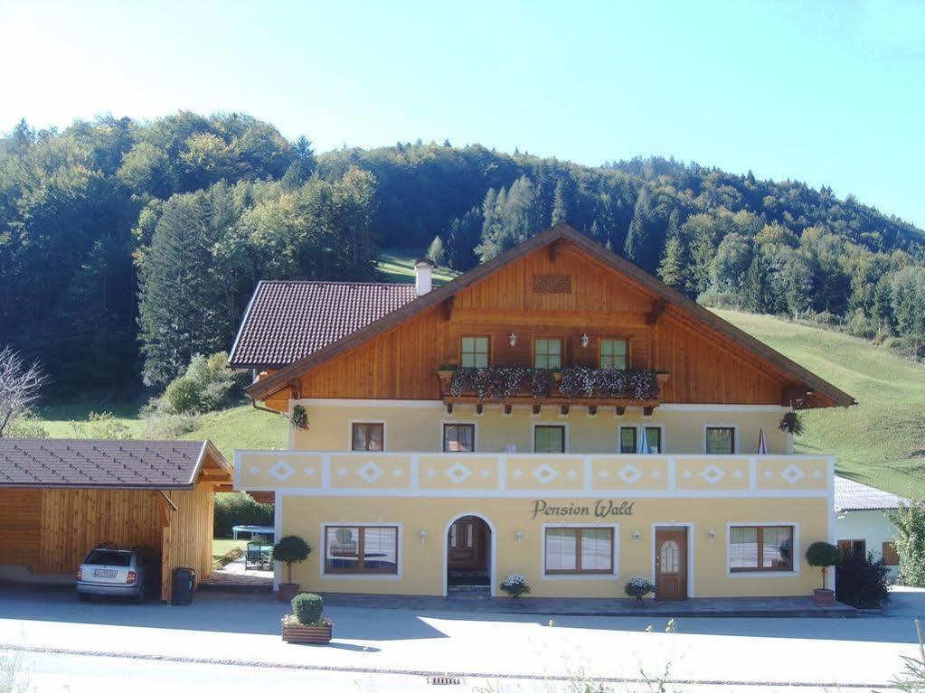 Pension Wald Faistenau Exteriér fotografie